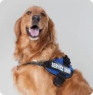 Animal Appraiser