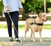 Animal Appraiser